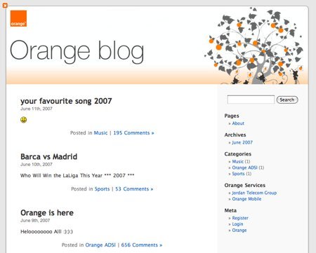 Orange Jordan blog